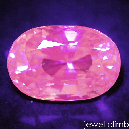 �ڽդ�ŹĹ�����롼�����쥯������<BR>�գ֥����ץ饤�� �����ͥå� ���� �롼�� ���������ã�