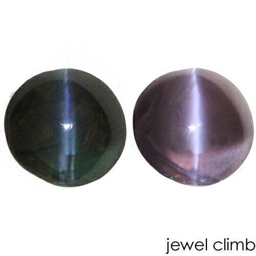 �ڽդ�ŹĹ�����롼�����쥯�����ۥ��쥭����ɥ饤�ȥ���åĥ��� ���� �롼�� ���������ã�