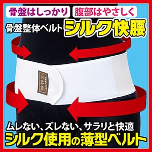 ������ �������Υ٥�� ���ʥ��륯�˲�����LL��3L�������ˡ��ǥ���