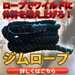 ڥȥ졼˥ѥס ɤ餷ƿäӼ򶯲褦 