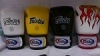 ���ꡪFairtex�ʥե����ƥå����ˡ��ȥ졼�˥󥰥������֡��ޥ��å��ơ��׼�������OZ