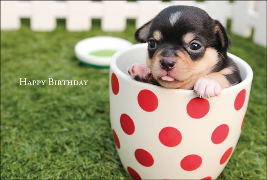 ݥȥ  Сǡɡưʪ&ʪưʪˡAA1013