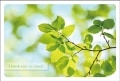 ポストカード　サンキューカード　植物　葉　［BB1053］
