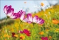 ポストカード　サンキューカード　植物　コスモス　［BB1054］