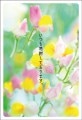 ポストカード　サンキューカード 植物　花　［BB2035］