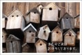ポストカード　来店促進　バラエティ　家　木箱　［CC1041］