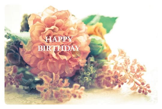 �ݥ��ȥ�����  �С����ǡ������ɡ���ʪ���֡���AB1033��