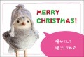 ポストカード　クリスマスカード　バラエティ　人形　鳥　［FC1075］