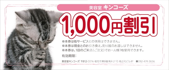 ������������ưʪ���ͤ�����MK1100��