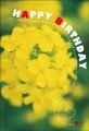 ポストカード  バースデーカード　植物　菜の花　［AB2026］