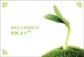 ポストカード　サンキューカード　植物　新芽　［BB1062］