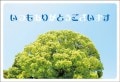 ポストカード　サンキューカード　植物　木　［BB1064］
