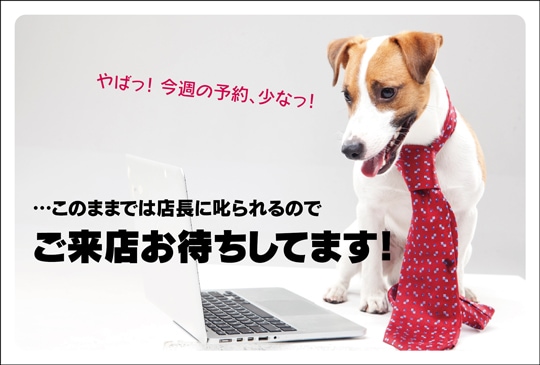 �ݥ��ȥ����ɡ���Ź¥�ʡ�ưʪ  ������CA1043��