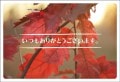 ポストカード　サンキューカード　植物　紅葉　［BB1066］