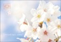 ポストカード　年間行事　春・入学・卒業・新年度　桜　［JC1017］