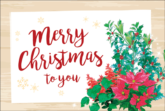 �ݥ��ȥ����ɡ����ꥹ�ޥ������ɡ��Х饨�ƥ����ݥ��󥻥������ҥ��饮����FC1082��