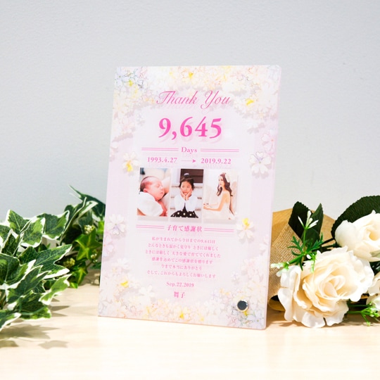 �Ұ�ƴ��վ����������ե��ȡ�A5���������ե�����PA1004��