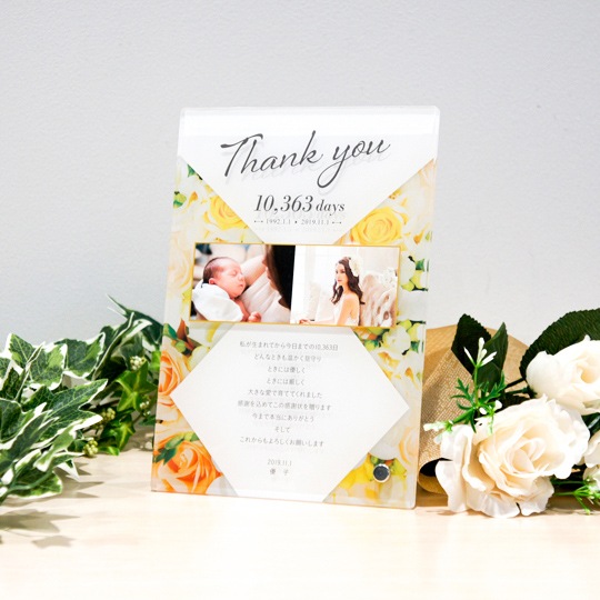 �Ұ�ƴ��վ����������ե��ȡ�A5�����������쥬��ȡ��ե�����PA1007��