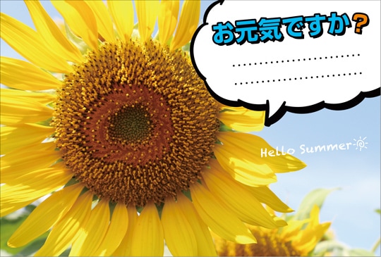 �ݥ��ȥ����ɡ����渫�񤤡���ʪ���֡��Ҥޤ�ꡡ��KB1020��