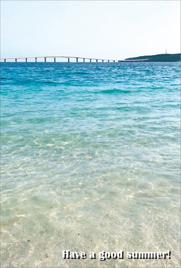 �ݥ��ȥ����ɡ����渫�񤤡��Х饨�ƥ������ա�[KC2022]