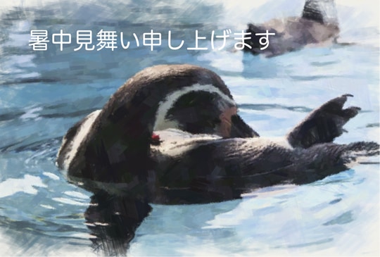 �ݥ��ȥ����ɡ����渫�񤤡���ʪ&ưʪ���ڥ󥮥�[KA1037]