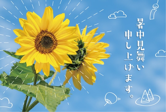 �ݥ��ȥ����ɡ����渫�񤤡���ʪ���֡��Ҥޤ�ꡡ��KB1021��