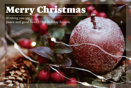 ポストカード　クリスマス　バラエティ　　［FC1088］|バラエティ|クリスマスカード