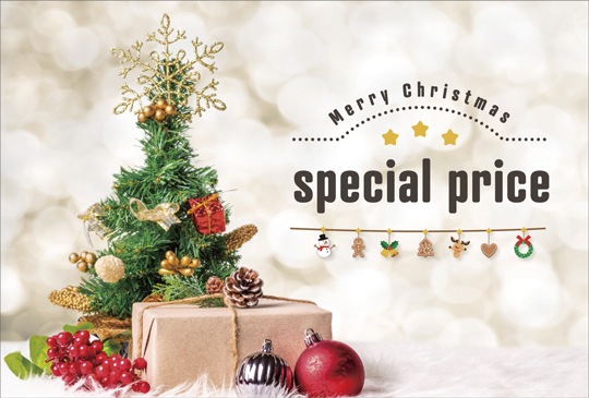 ポストカード　クリスマス　バラエティ　クリスマスツリー　［FC1091］