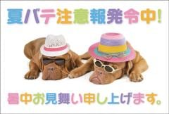 �ݥ��ȥ����ɡ����渫�񤤡�ưʪ&��ʪ�������֥�ɥå�����KA1001��