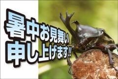 �ݥ��ȥ����ɡ����渫�񤤡�ưʪ&��ʪ�����֥ȥॷ�������KA1002��