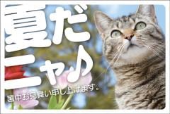 �ݥ��ȥ����ɡ����渫�񤤡�ưʪ&��ʪ��ǭ���֡���KA1003��