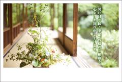 ポストカード 暑中見舞い 植物 花 縁側 和風 ［KB1004］ | 暑中