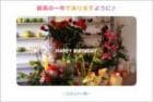 ポストカード　バースデーカード　植物　［MB1017］|もらうれポスカ