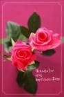ポストカード　バースデー　植物　花　［MB2003］|もらうれポスカ