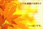 ポストカード　手書きスペース　植物　カエデ　［MM1006］|もらうれポスカ