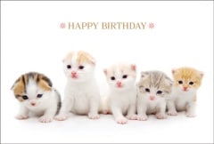 ݥȥ  Сǡɡưʪ&ʪǭAA1005