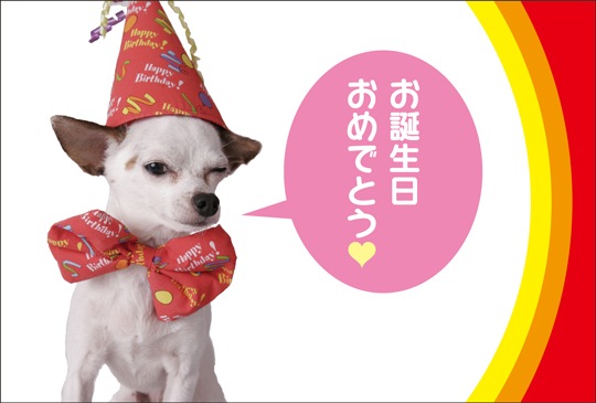 ポストカード バースデーカード 動物 人物 犬 1007 バースデーカード 動物 人物 キンコーズポストカード