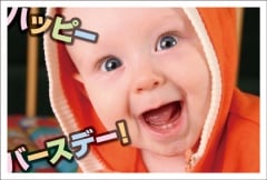 �ݥ��ȥ�����  �С����ǡ������ɡ�ưʪ&��ʪ����ʪ���֤����ˡ���AA1010��