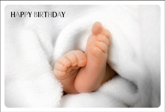 �ݥ��ȥ�����  �С����ǡ������ɡ�ưʪ&��ʪ����ʪ���֤����­�ˡ���AA1012��