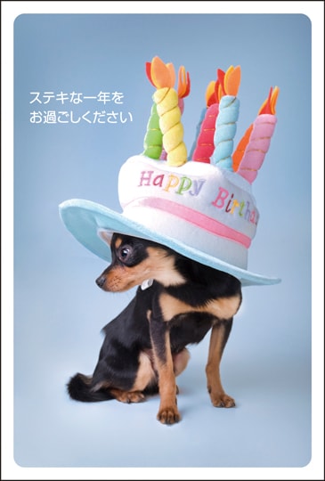 �ݥ��ȥ�����  �С����ǡ������ɡ�ưʪ&��ʪ��������AA2001��