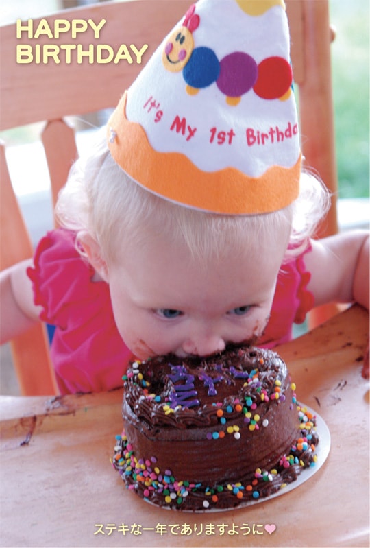 �ݥ��ȥ�����  �С����ǡ������ɡ�ưʪ&��ʪ����ʪ���֤����ˡ���AA2007��