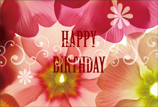 ポストカード バースデーカード 植物 花 Ab1001 バースデーカード 植物 キンコーズポストカード