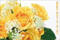 �ݥ��ȥ�����  �С����ǡ������ɡ���ʪ���Х顡��AB1005��