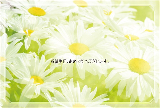 ポストカード バースデーカード 植物 花 Ab1008 バースデーカード 植物 キンコーズポストカード