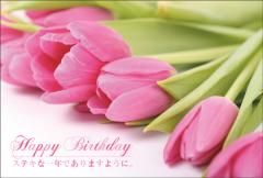 ݥȥ  Сǡɡʪ塼åסAB1016