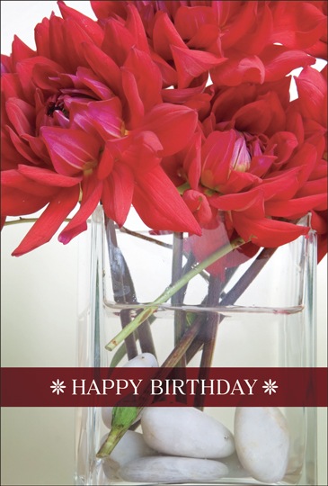 ポストカード バースデーカード 植物 花 Ab19 バースデーカード 植物 キンコーズポストカード