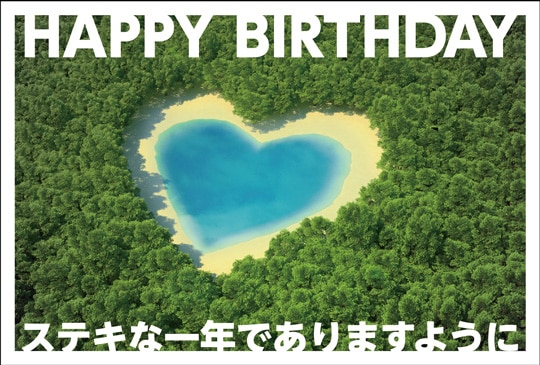 �ݥ��ȥ����ɡ��С����ǡ������ɡ��Х饨�ƥ����ϡ��ȡ���������AC1031��