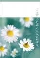 ポストカード　サンキューカード 植物　花とミツバチ　［BB2005］|植物|サンキューカード