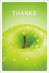 ݥȥɡ󥭥塼 ʪĥ󥴡BB2009