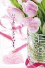 ポストカード　サンキューカード 植物　チューリップ　［BB2017］|植物|サンキューカード